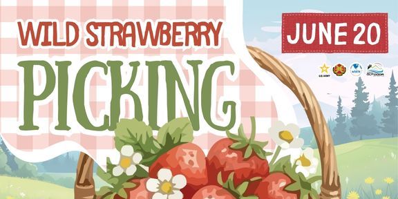 Wild Strawberry Picking